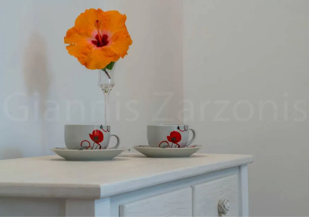 Armenos Villas Ierissos Holiday home